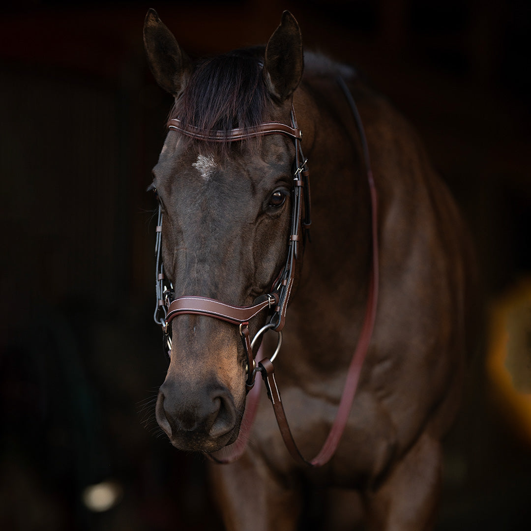 Henri de Rivel Pro Anatomical Bridle