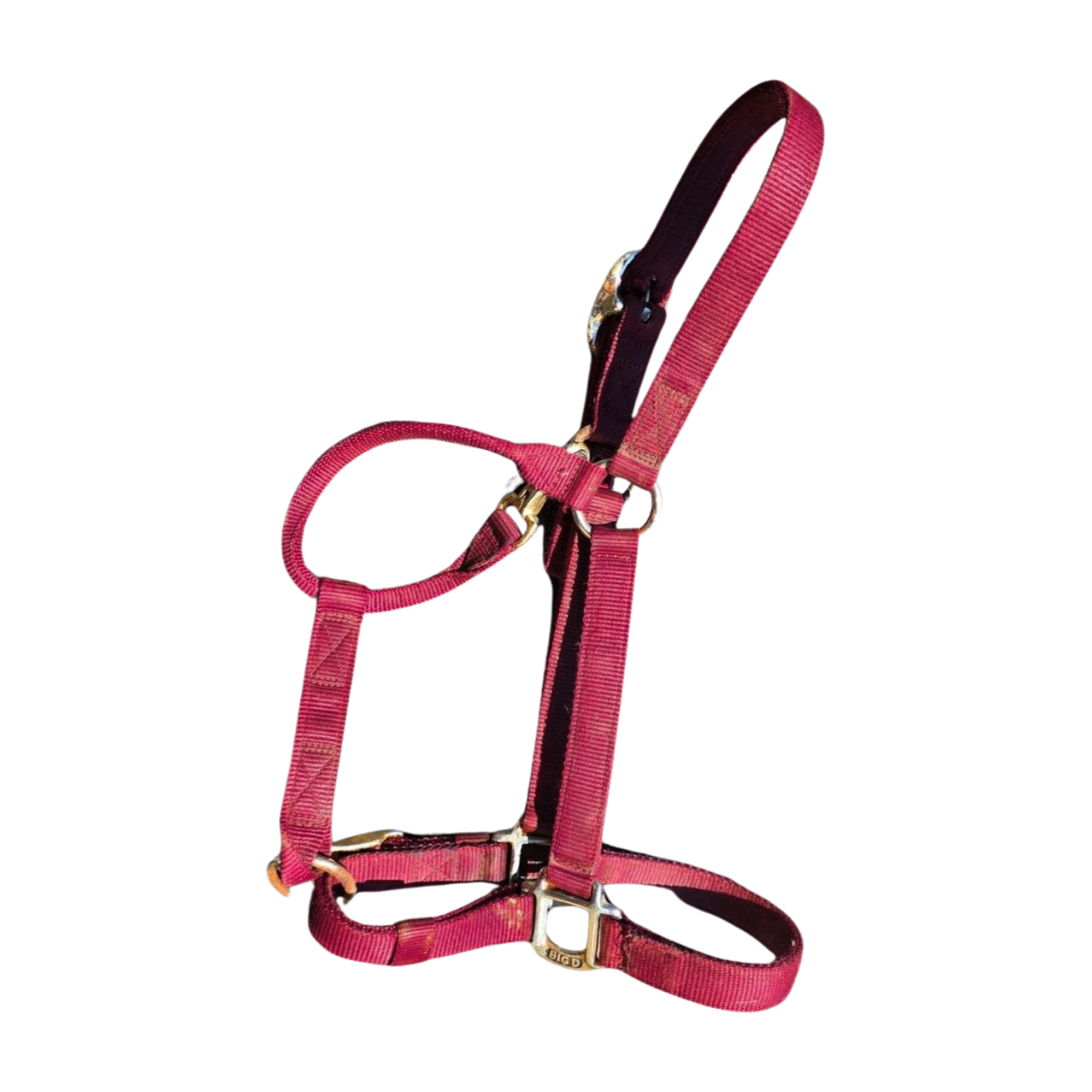 Big D Nylon Halter