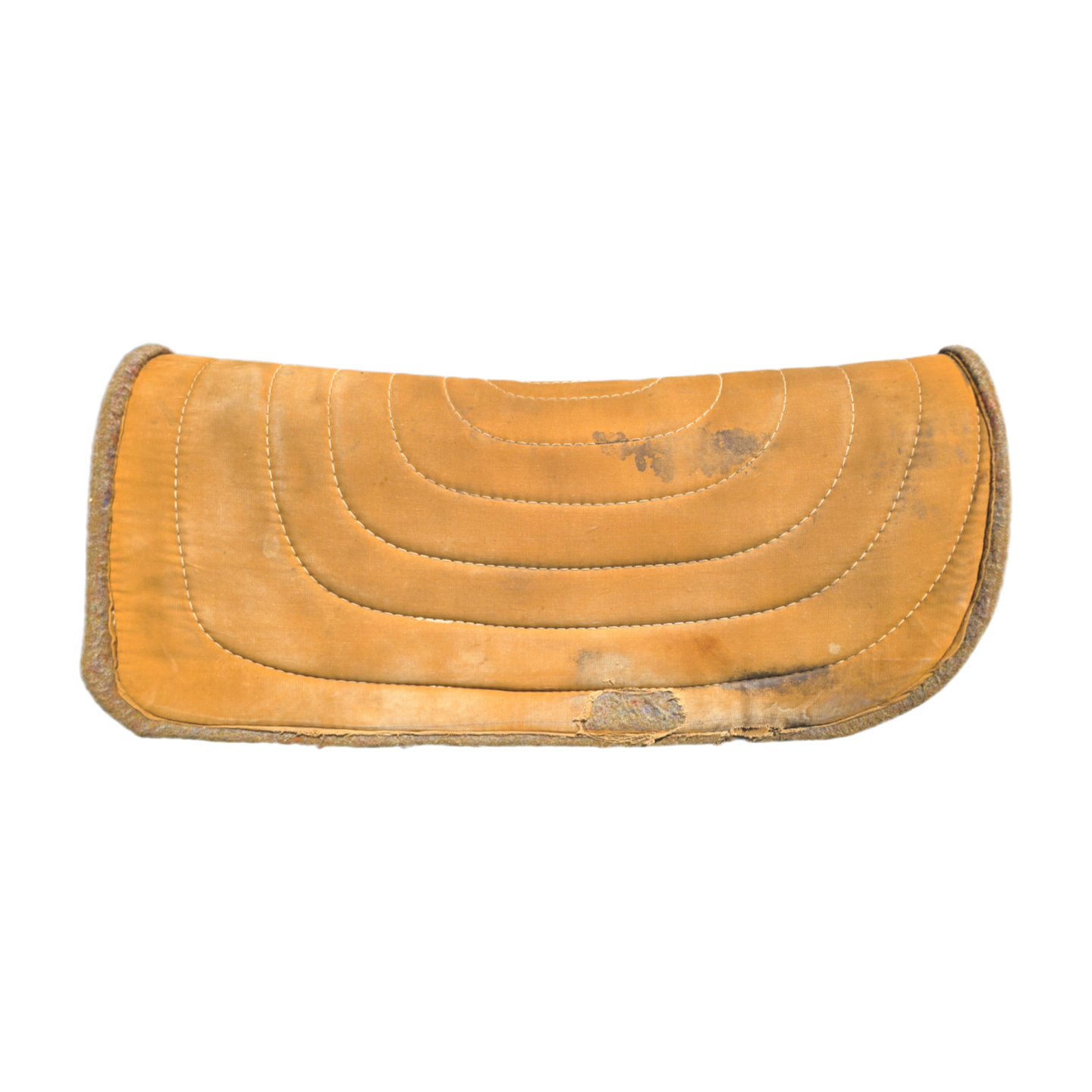 Western saddle pad