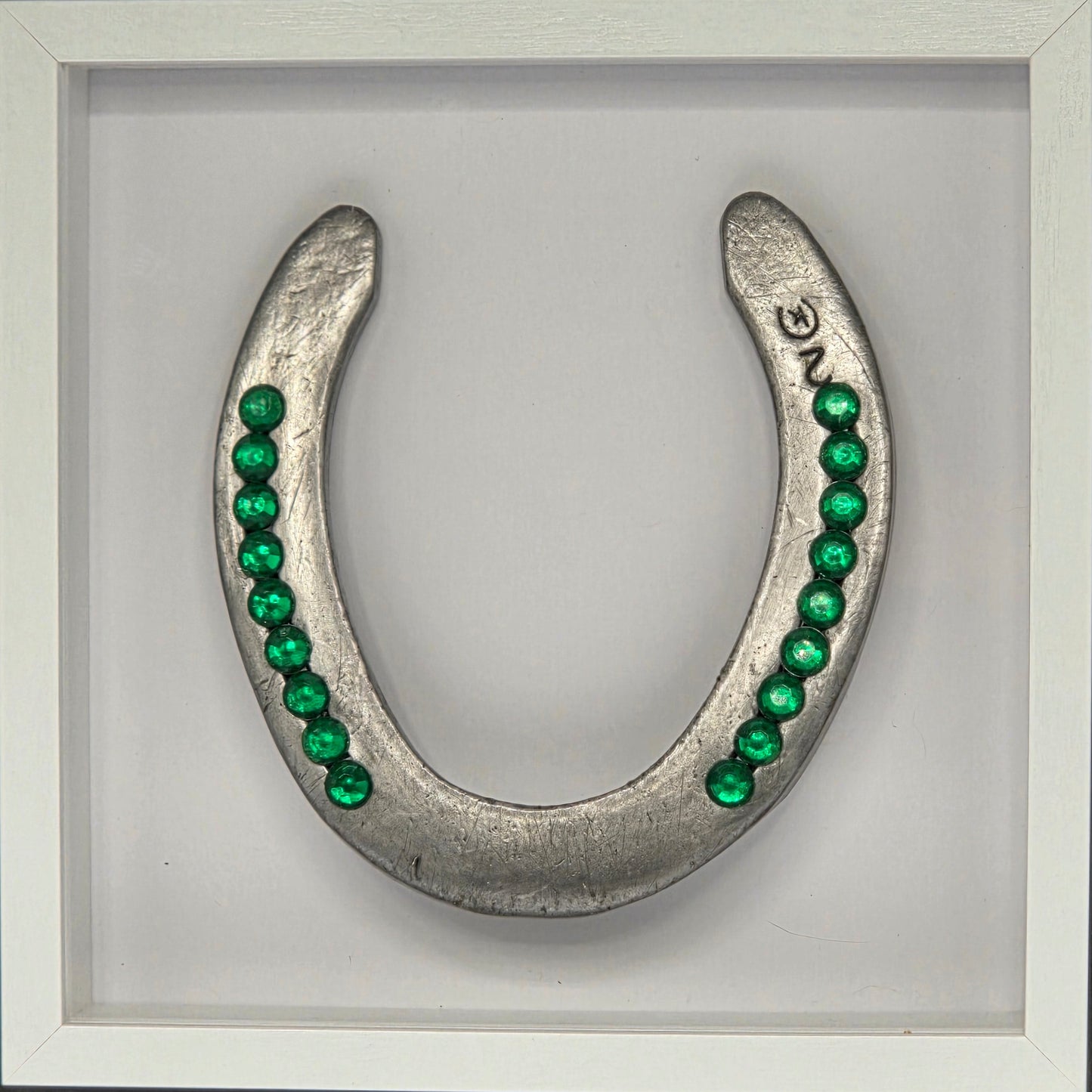 Custom Horse Shoe Shadow Box