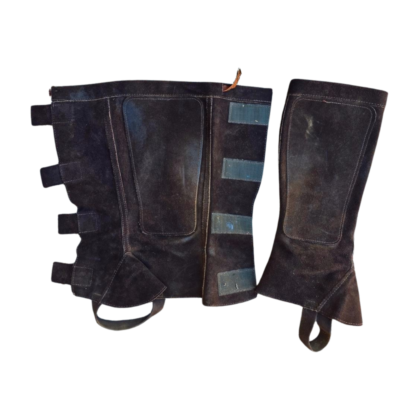 Barnstable Riding Half Chaps