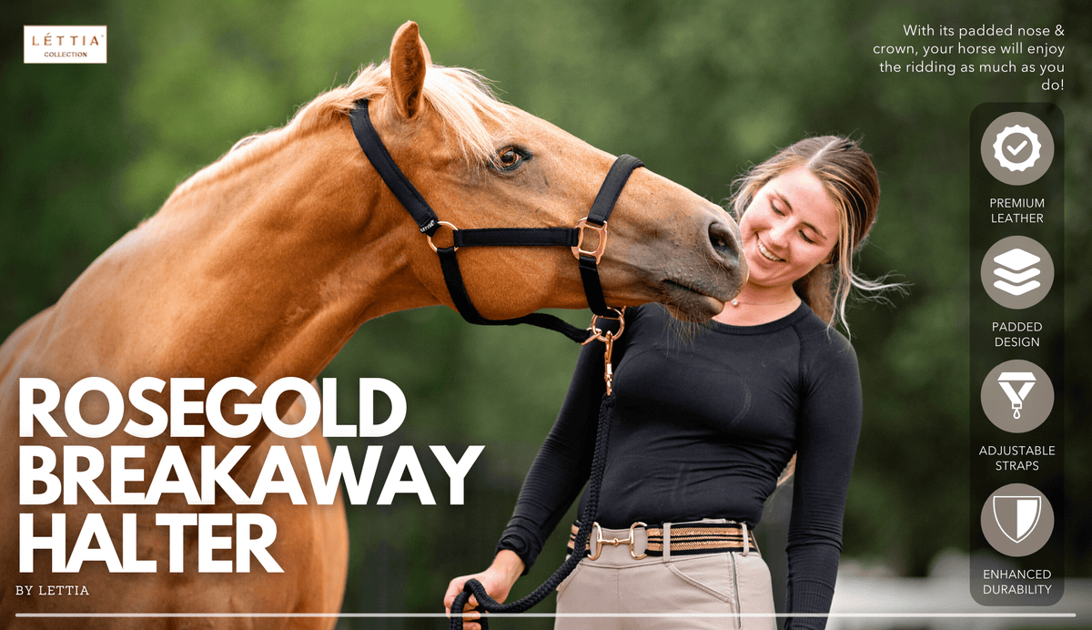 Lettia Rosegold Padded Leather Breakaway Halter - Sunset Bay Equestrian