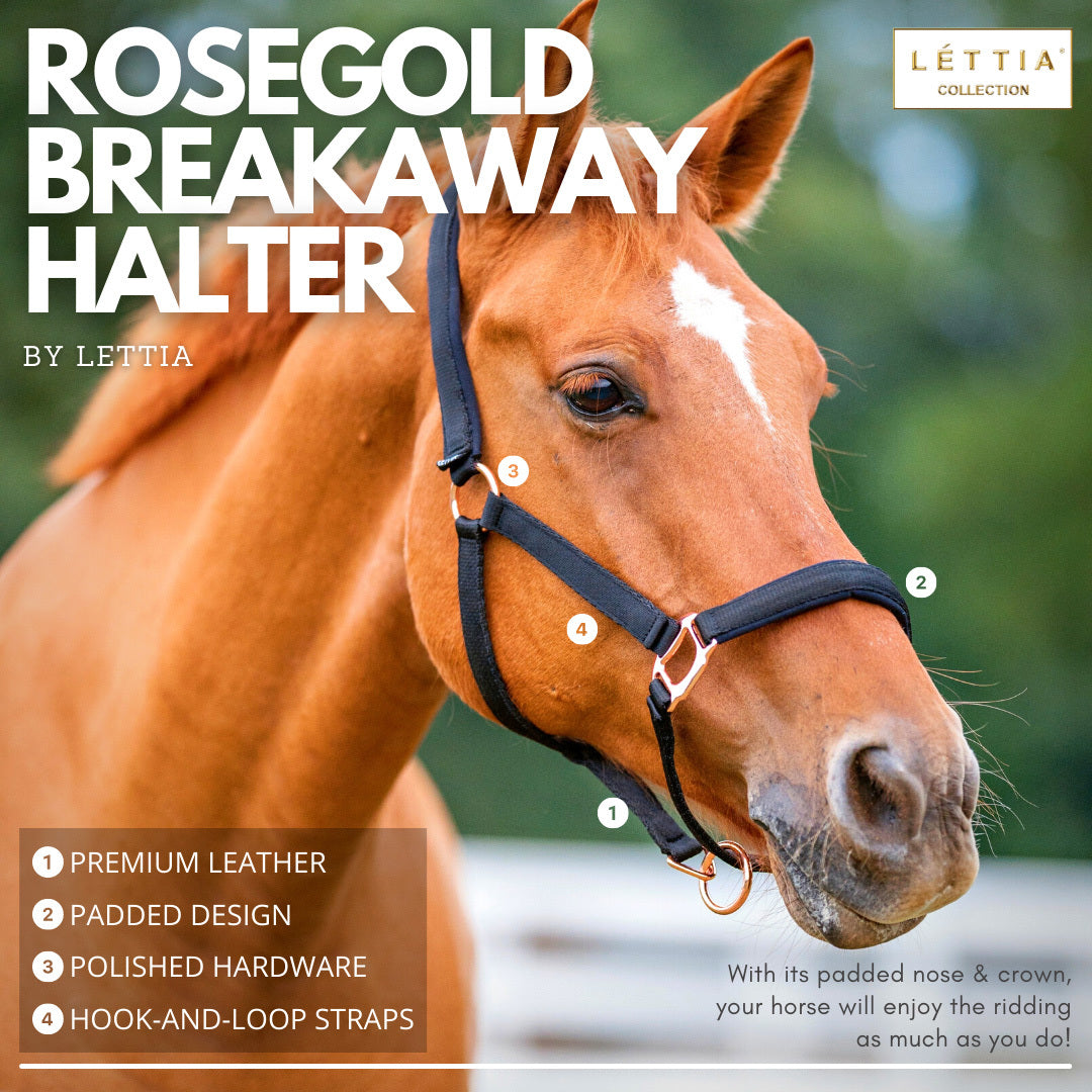Lettia Rosegold Padded Leather Breakaway Halter - Sunset Bay Equestrian