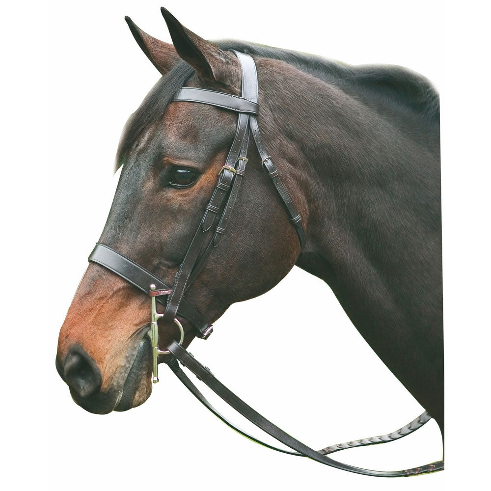 Henri de Rivel Advantage Hunt Bridle