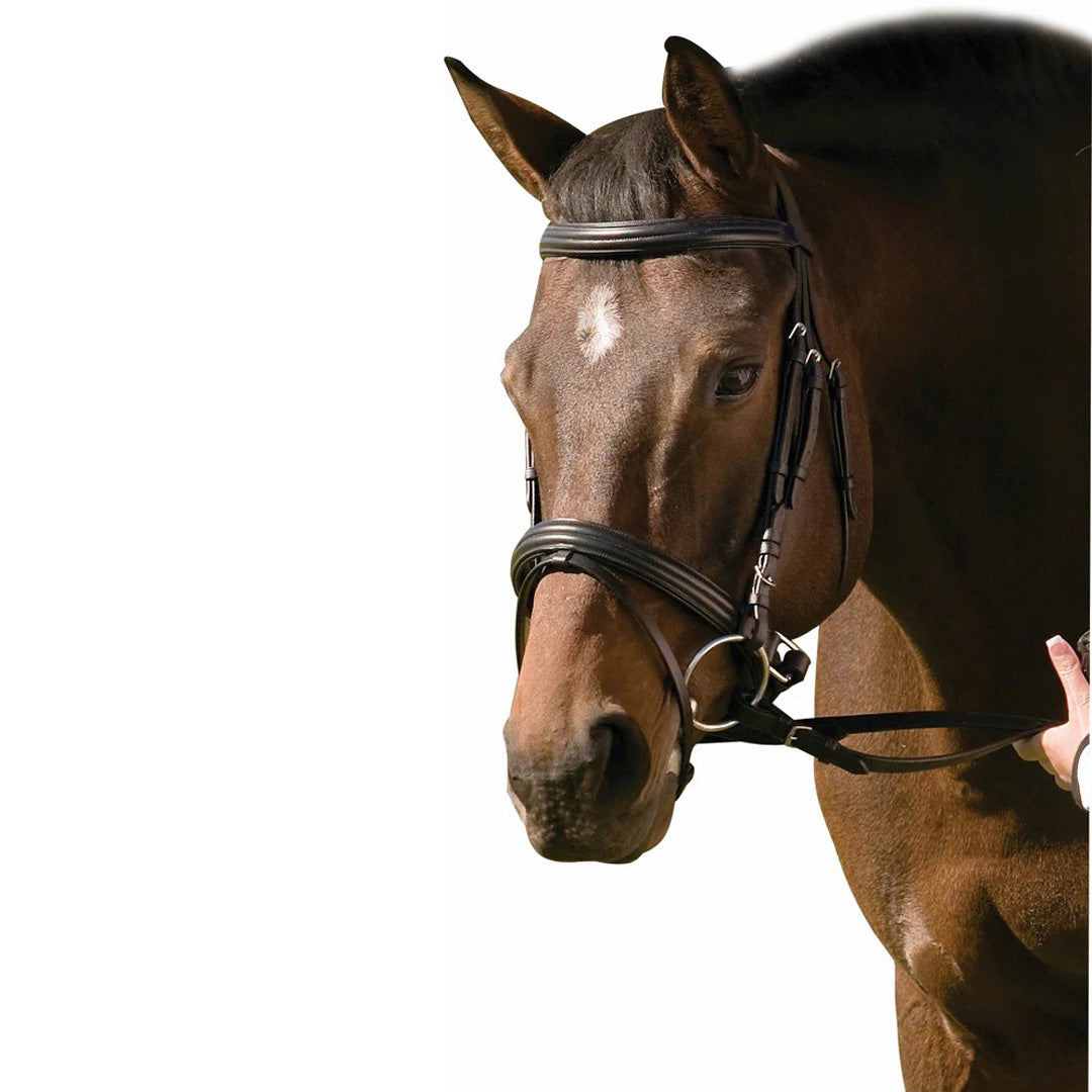 Henri de Rivel Pro Padded Raised Dressage Bridle with Crank Flash Noseband with Web Reins