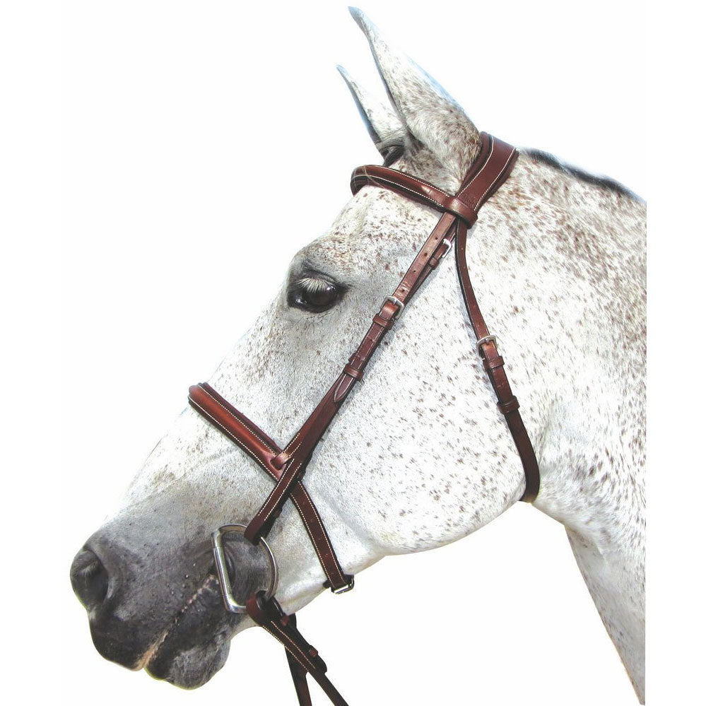 Henri de Rivel Pro Mono Crown Padded Bridle