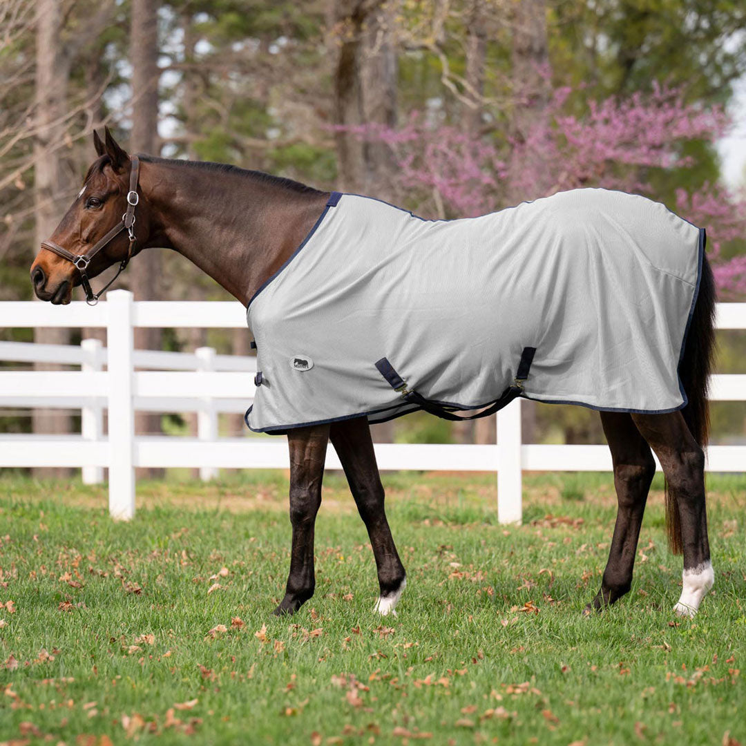 Miller's Fly sheet - Sunset Bay Equestrian
