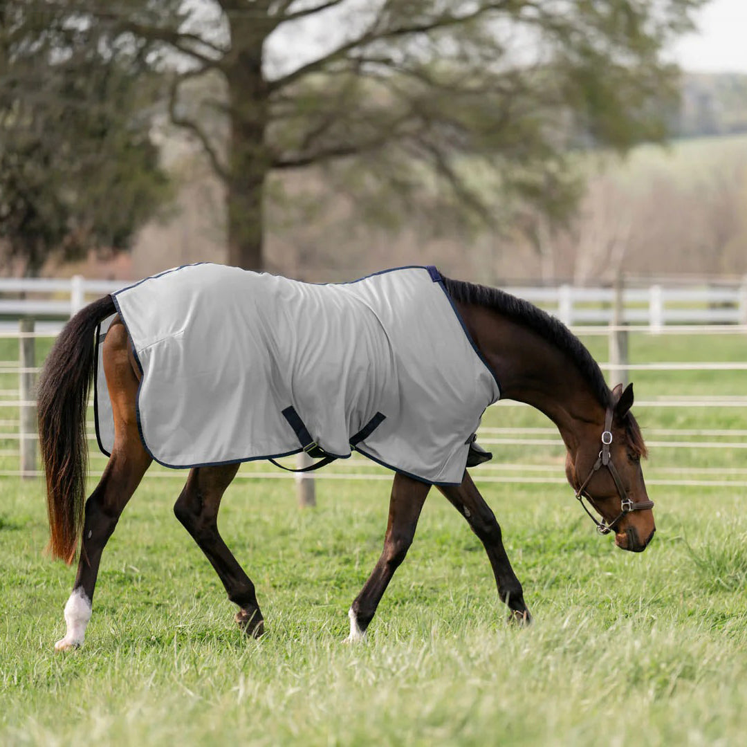 Miller's Fly sheet - Sunset Bay Equestrian