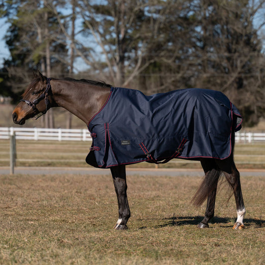 Dover Equestrian Ripstop Standard Neck Turnout Blanket