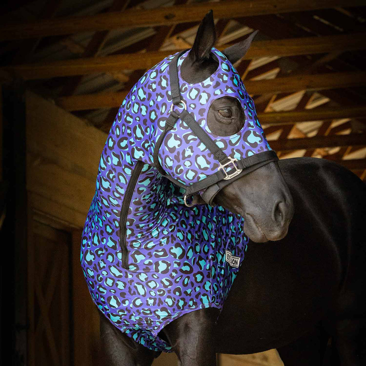 Jeffers Expression Lycra Hood for Horses