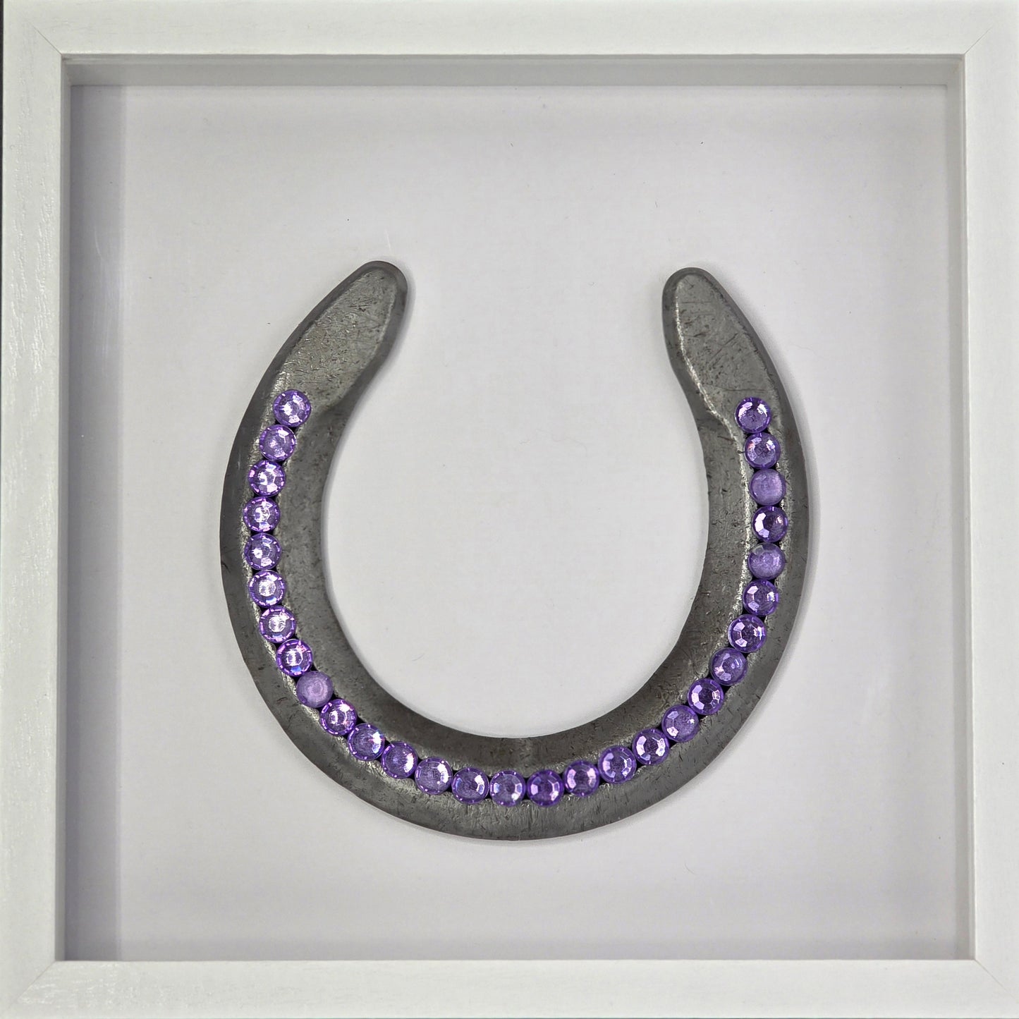 Custom Horse Shoe Shadow Box