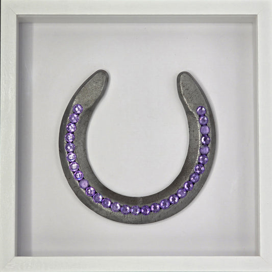 Custom Horse Shoe Shadow Box