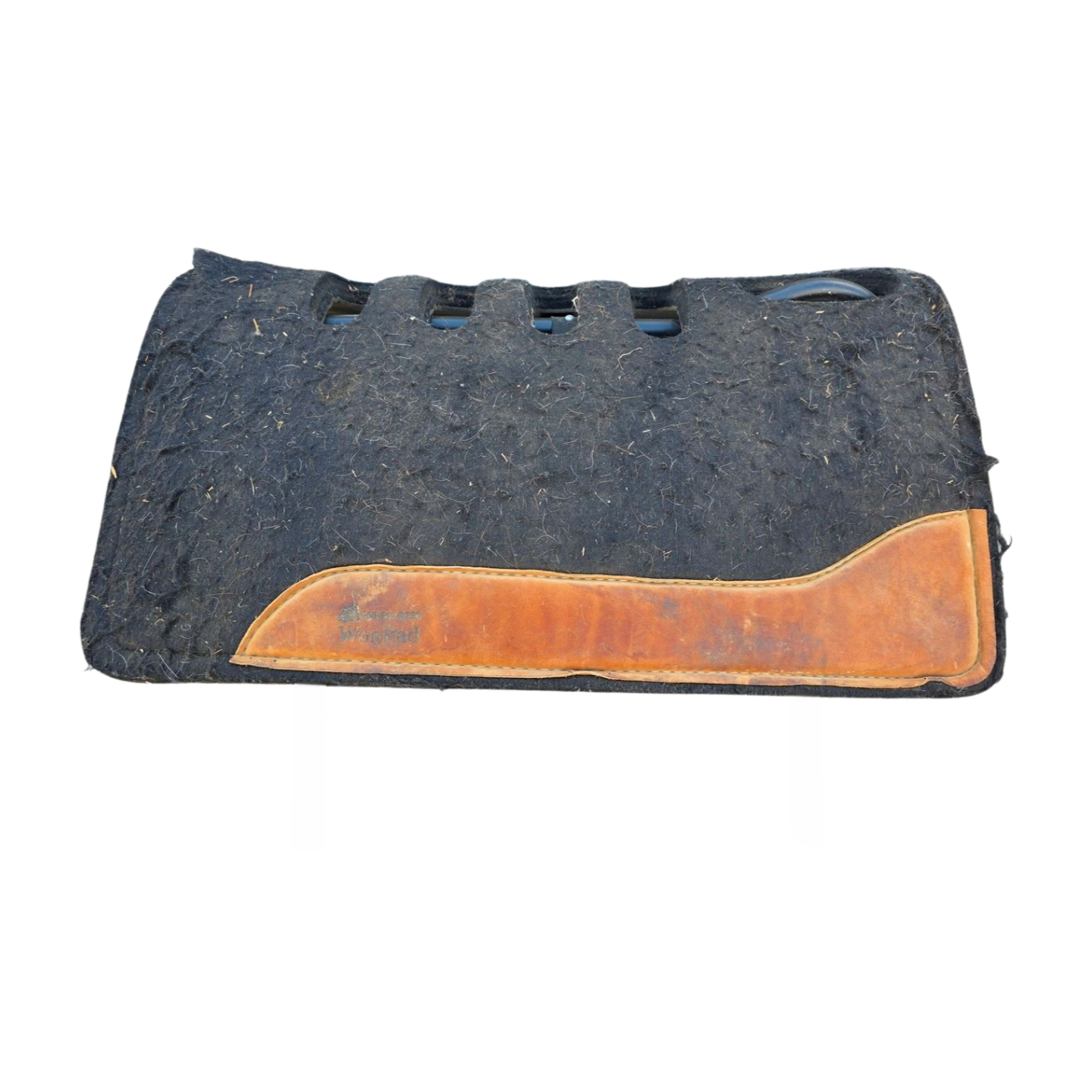 Won Pad Western Saddle Pad - Sunset Bay Equestrian