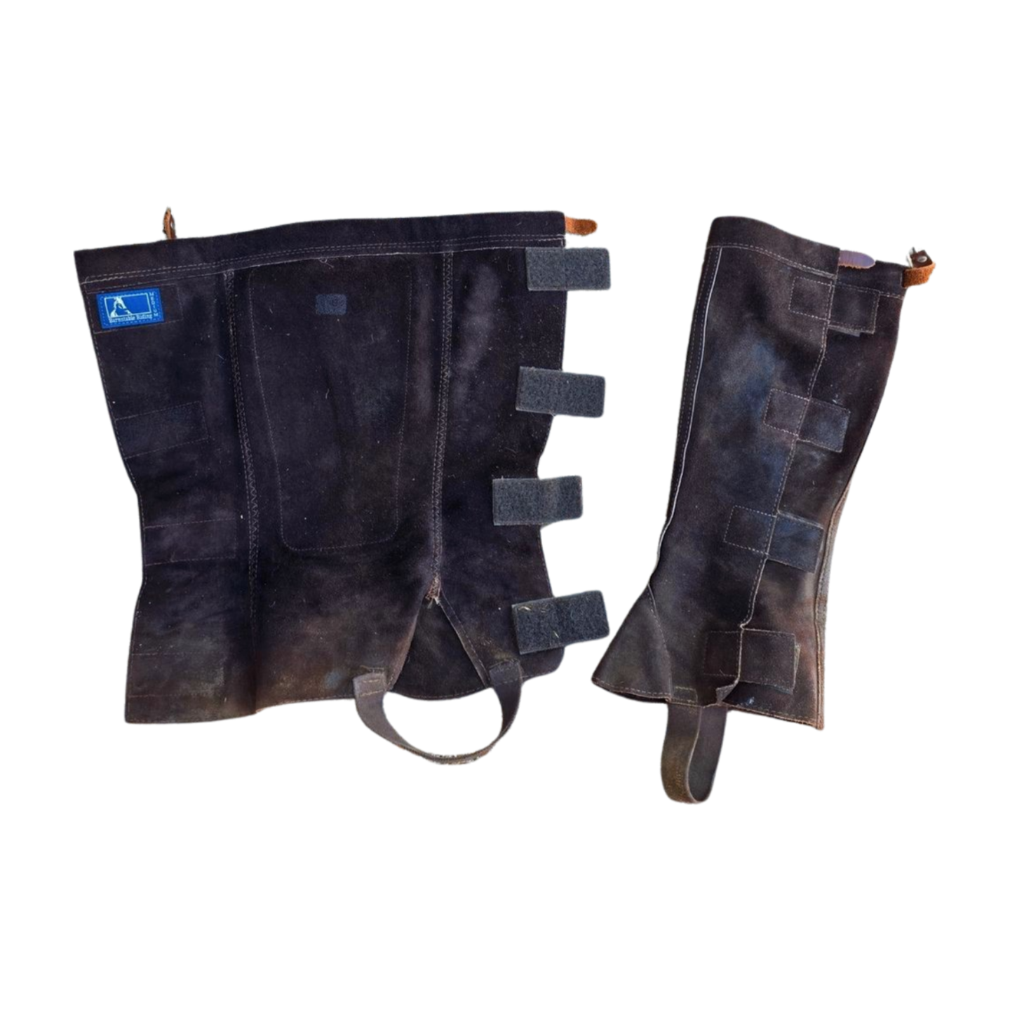 Barnstable Riding Half Chaps - Sunset Bay Equestrian