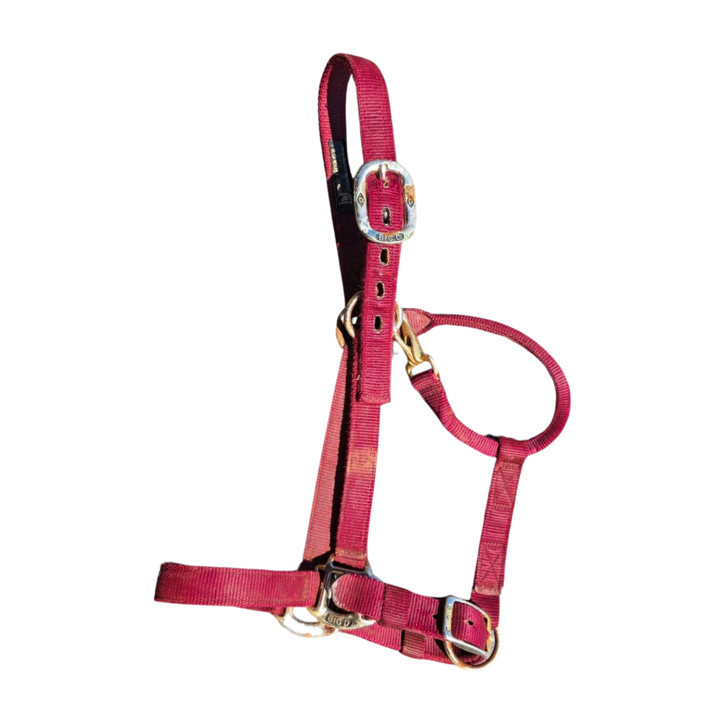 Big D Nylon Halter - Sunset Bay Equestrian