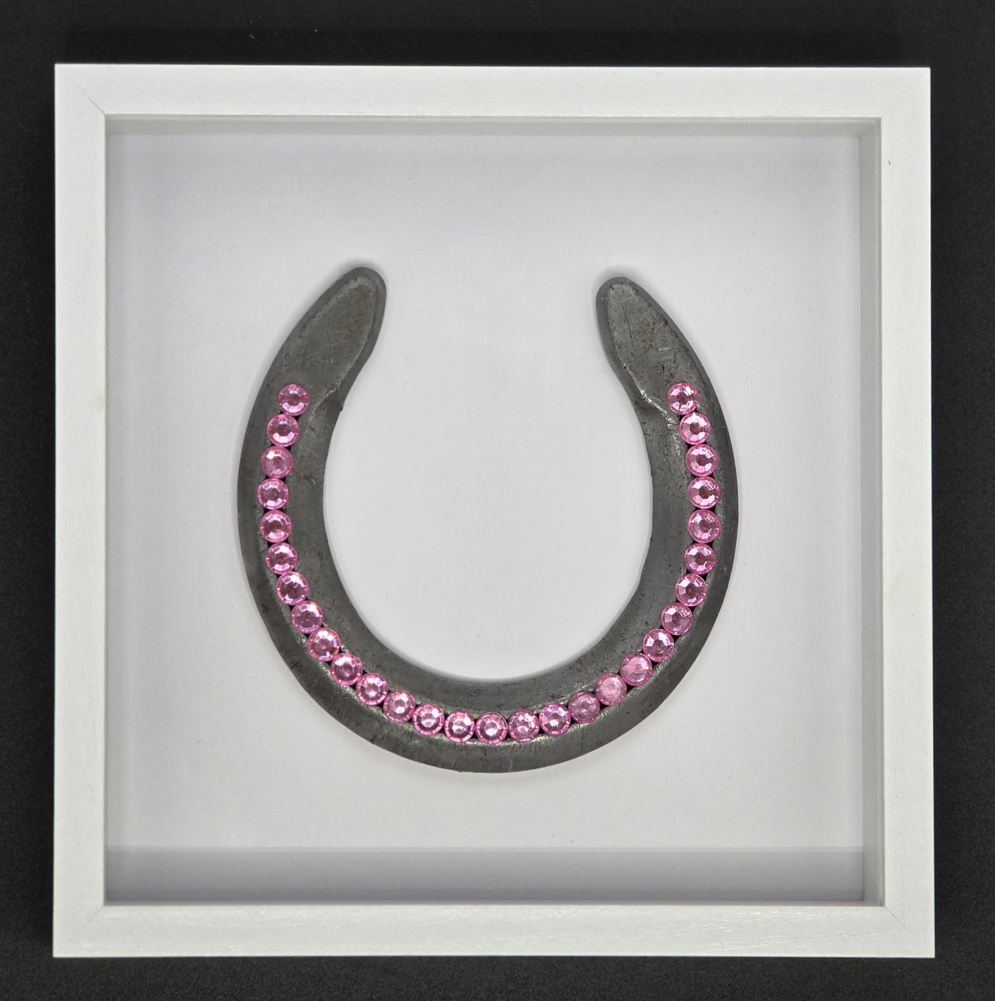 Custom Horse Shoe Shadow Box